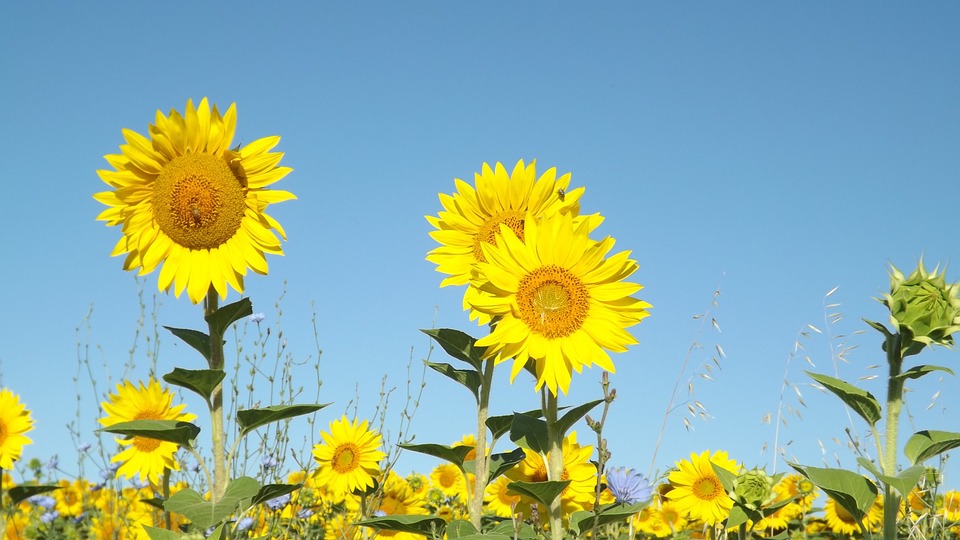 Summer is coming soon to Utah