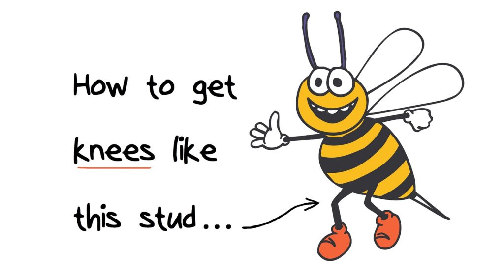 bees knees