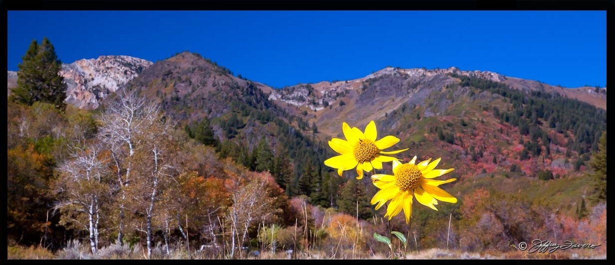 North Fork Park