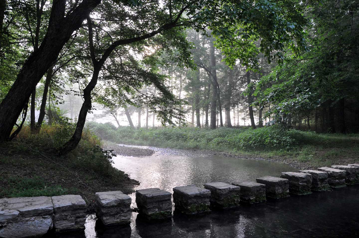 stepping stones across river